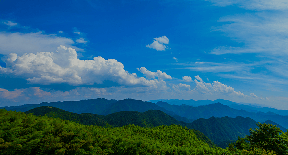 藍天視野（北京）農業技術有限公司